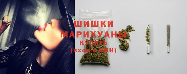 бошки Новозыбков