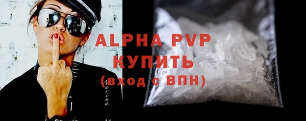 прущие грибы Новодвинск