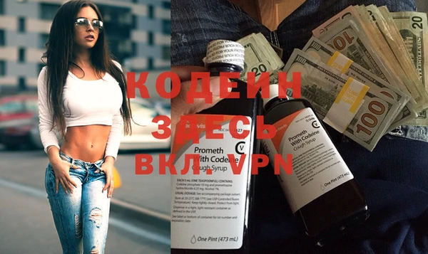 прущие грибы Новодвинск