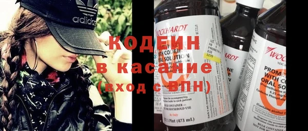 прущие грибы Новодвинск