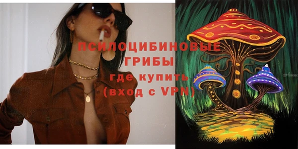 стаф Нефтекумск
