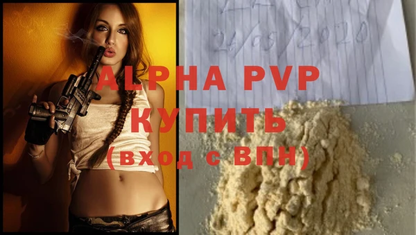 прущие грибы Новодвинск