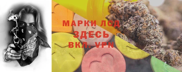 прущие грибы Новодвинск