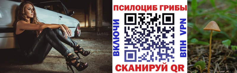Псилоцибиновые грибы ЛСД  площадка официальный сайт  МЕГА   Ужур  хочу  
